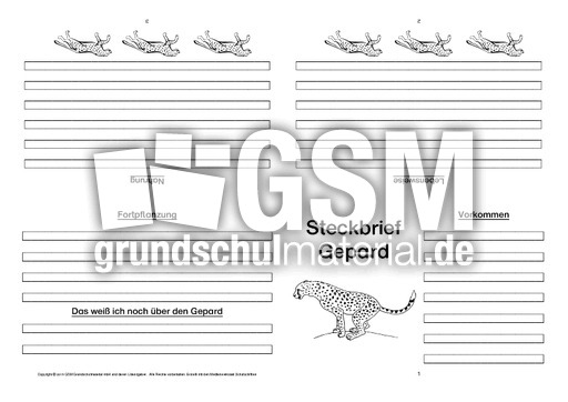 Gepard-Faltbuch-vierseitig-3.pdf
